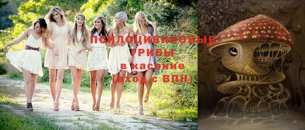 прущий лед Арсеньев
